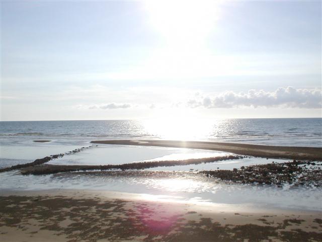 Beachside patterns